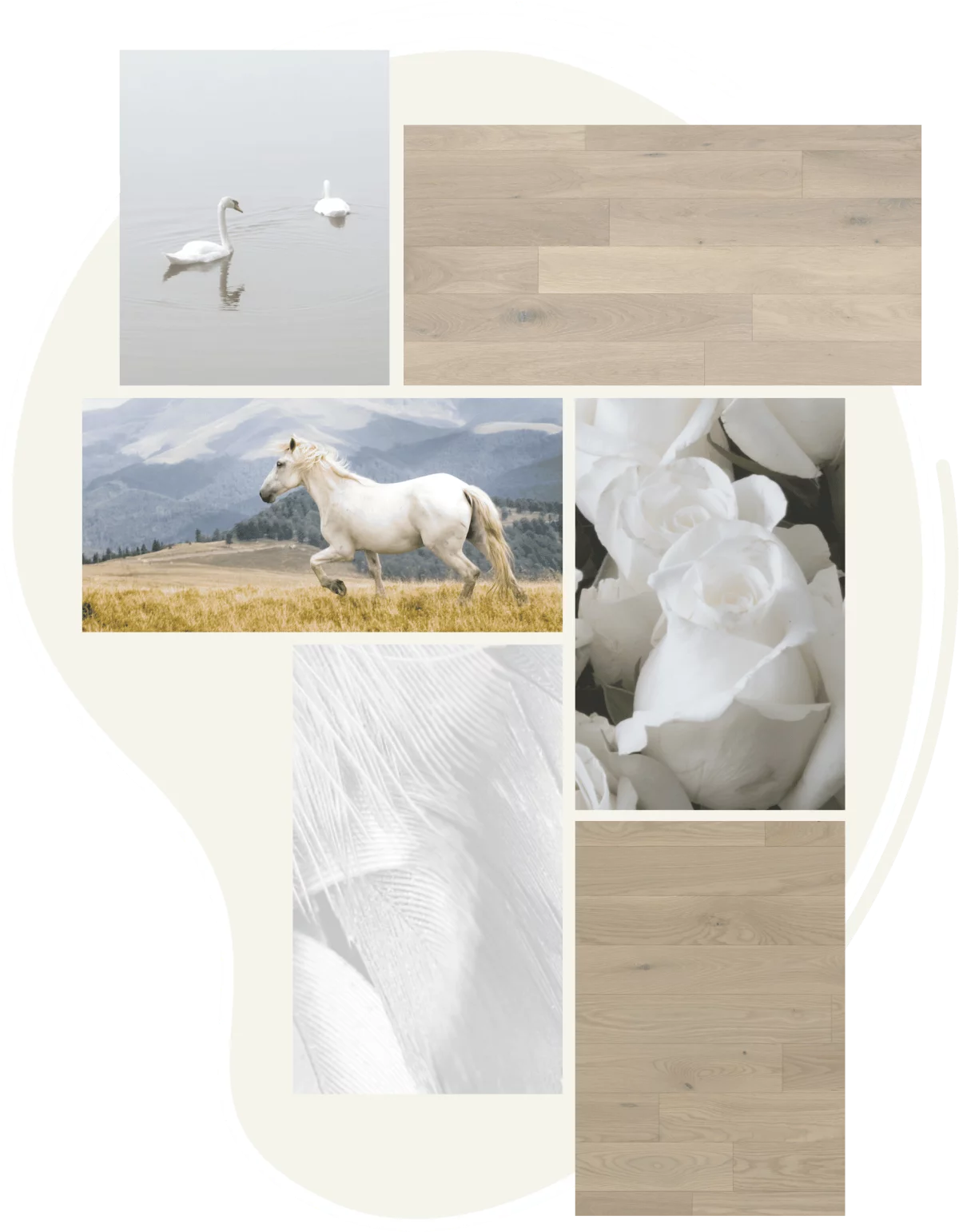 Collage de cheval blanc, de fleur blanche, de cygnes et de parquet en bois blanc