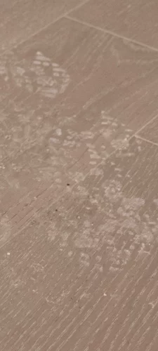 Saletés en surface ou légèrement incrustées