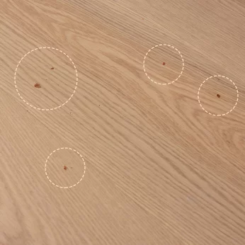 Éclaboussures de nourriture